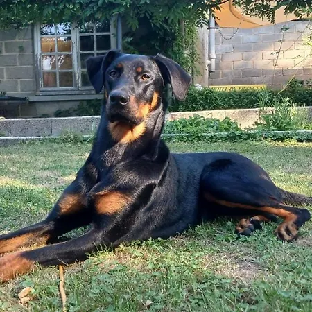 Logis De France- Restaurant Grill 2*