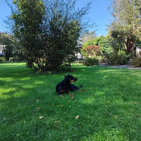 Logis De France- Restaurant Grill 2*