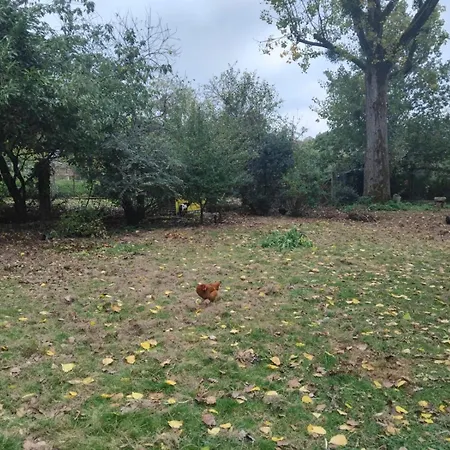 酒店 Logis De France- Restaurant Grill 栋弗龙