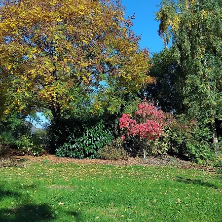 Logis De France- Restaurant Grill Domfront (Orne)