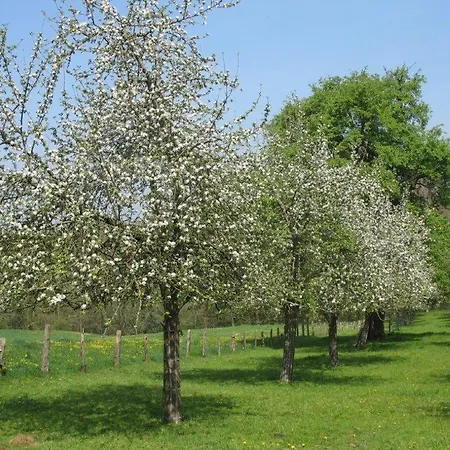 Logis De France- Restaurant Grill 酒店 栋弗龙