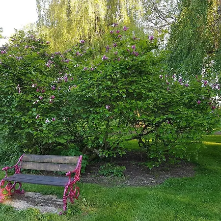 酒店 Logis De France- Restaurant Grill