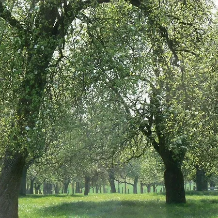 酒店 Logis De France- Restaurant Grill 2*