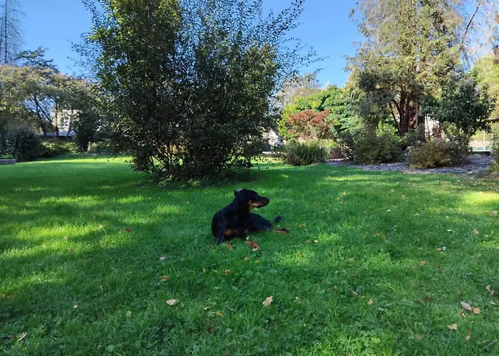 Logis De France- Restaurant Grill 2*