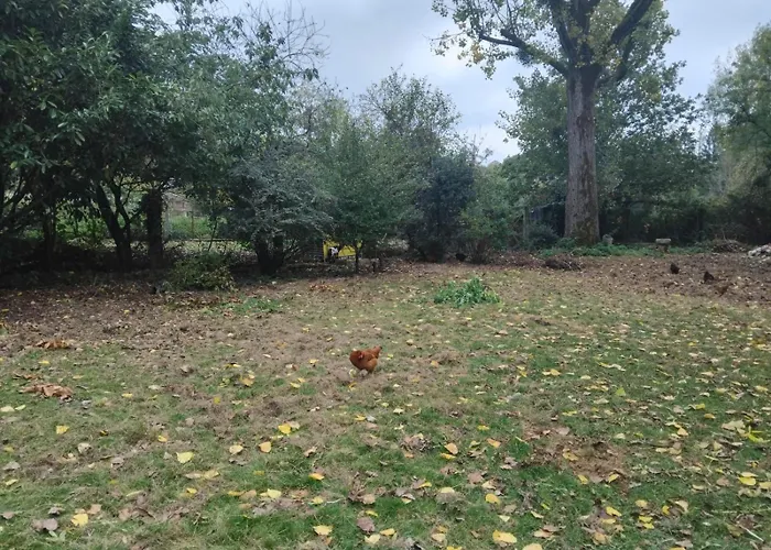 Hotel Logis De France- Restaurant Grill Domfront (Orne)