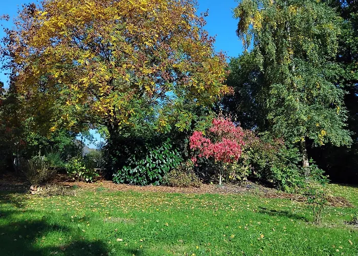 Logis De France- Restaurant Grill Domfront (Orne)