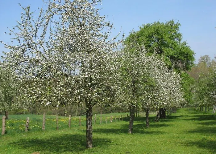 Logis De France- Restaurant Grill Hotel Domfront (Orne)