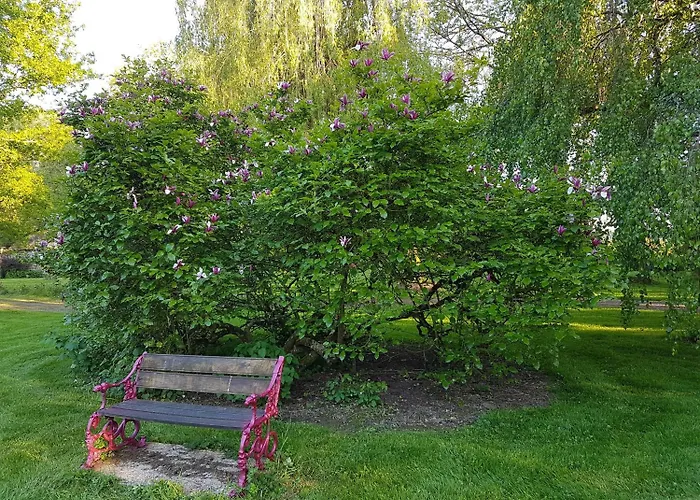 Hotel Logis De France- Restaurant Grill