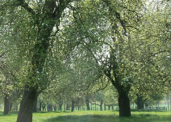 Hotel Logis De France- Restaurant Grill 2*